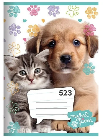 školní sešit 523 - Best Friends