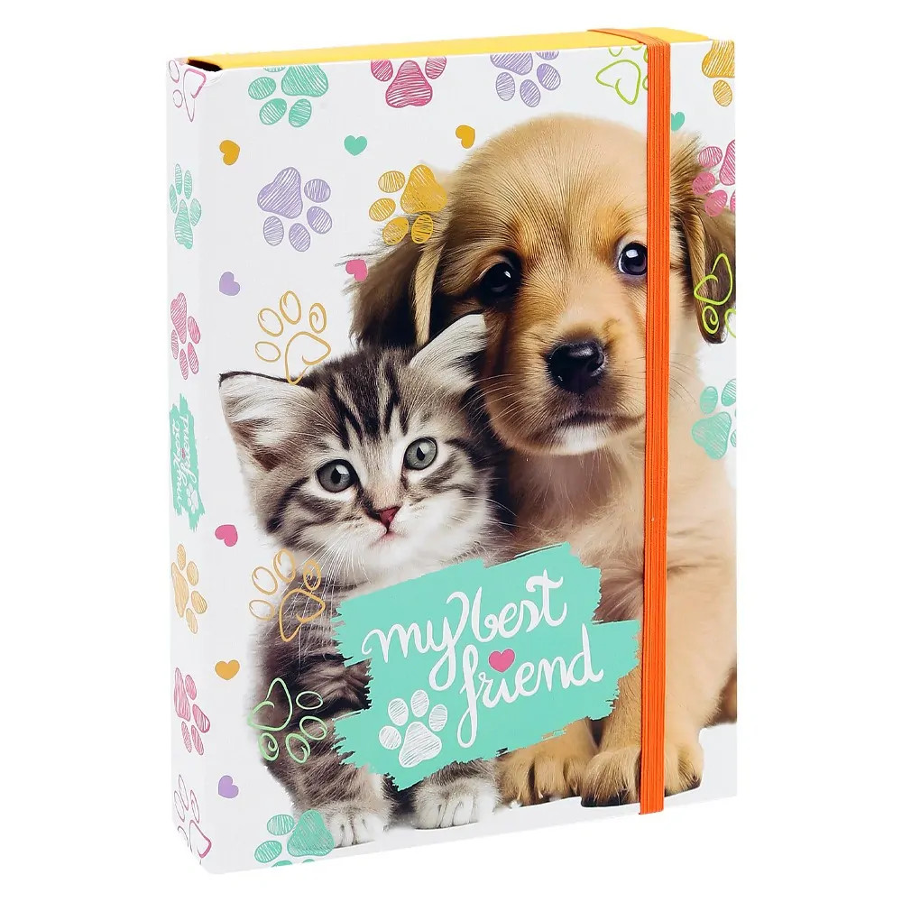 box na sešity formát A5 - pejsek a kočička