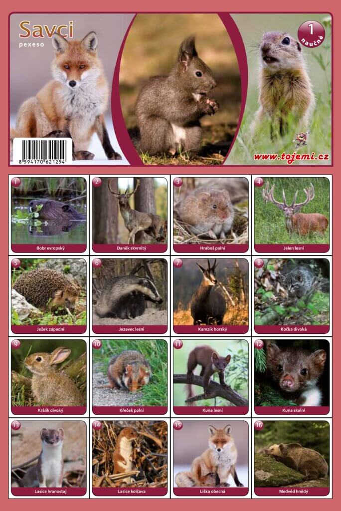 pexeso A4 - savci nebo domácí zvířata